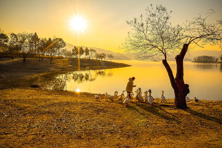 Kyaw Thu Wai_The Sanctuary of Softness_Honorable Mention
